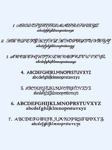 Labrador 4